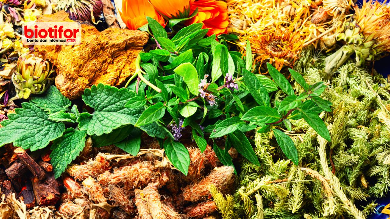 Apa Saja Efek Samping Obat Herbal Yang Umum