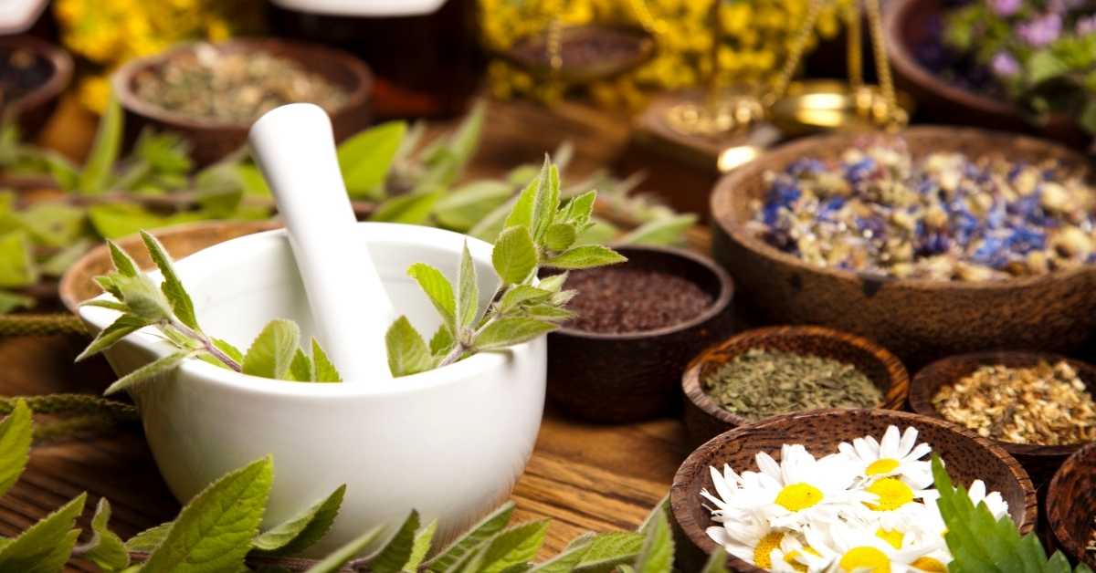 Obat Herbal Yang Efektif Untuk Mengurangi Stres